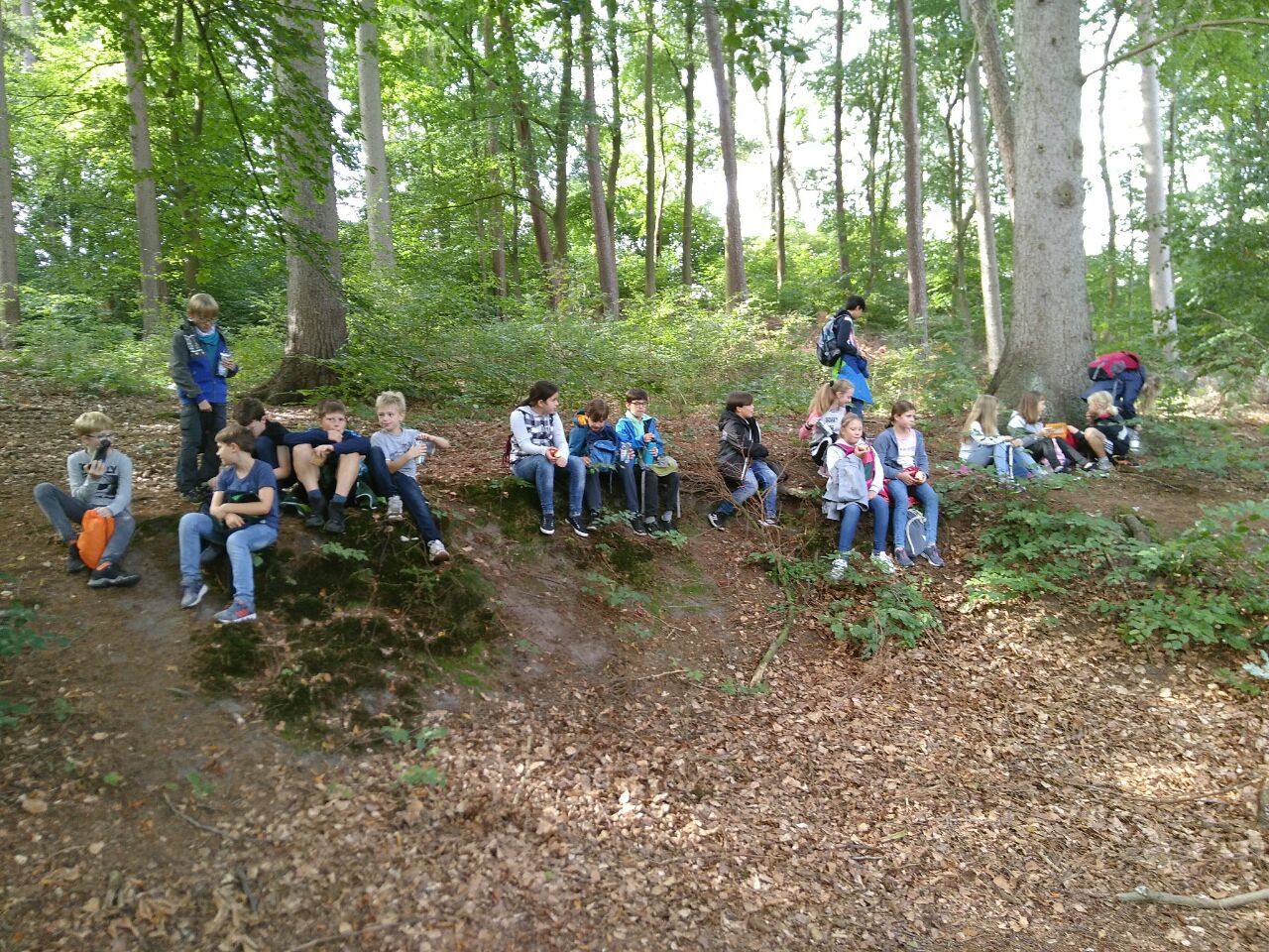 IMG 20180911 132746 567