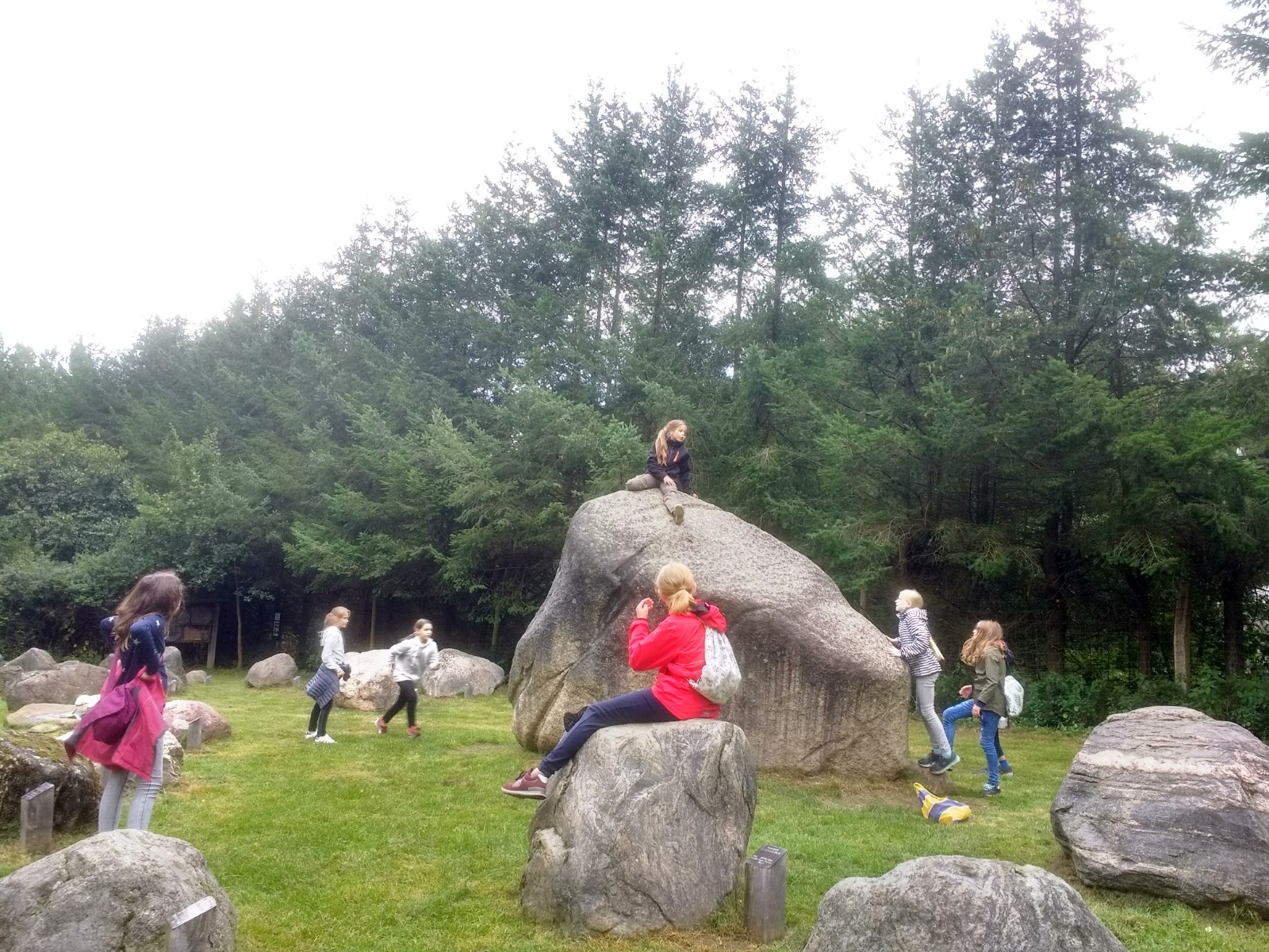 IMG 20190903 145302418 HDR