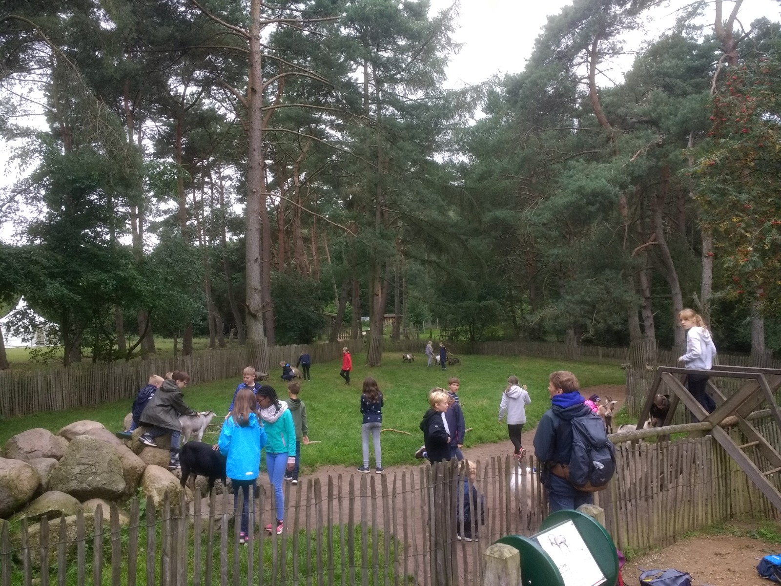 IMG 20190903 145644382