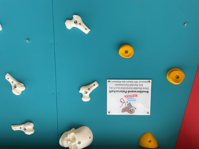 8F014E70 C65D 4343 AB00 46204E7CCACE Reesenb2