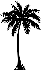 palmtree