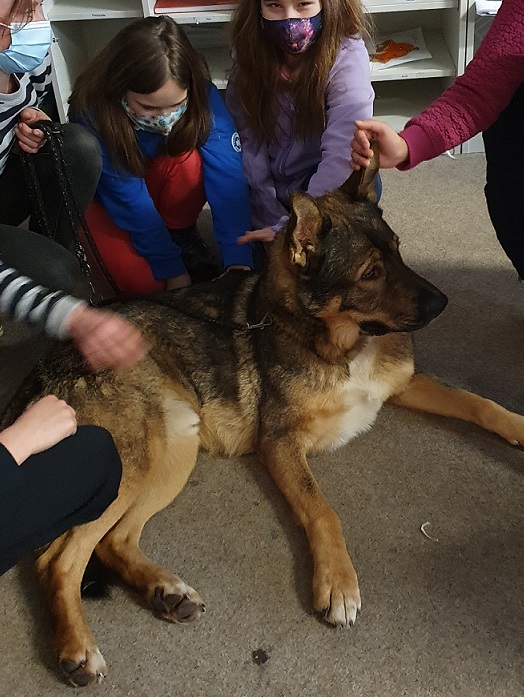 kuddel im unterricht 002