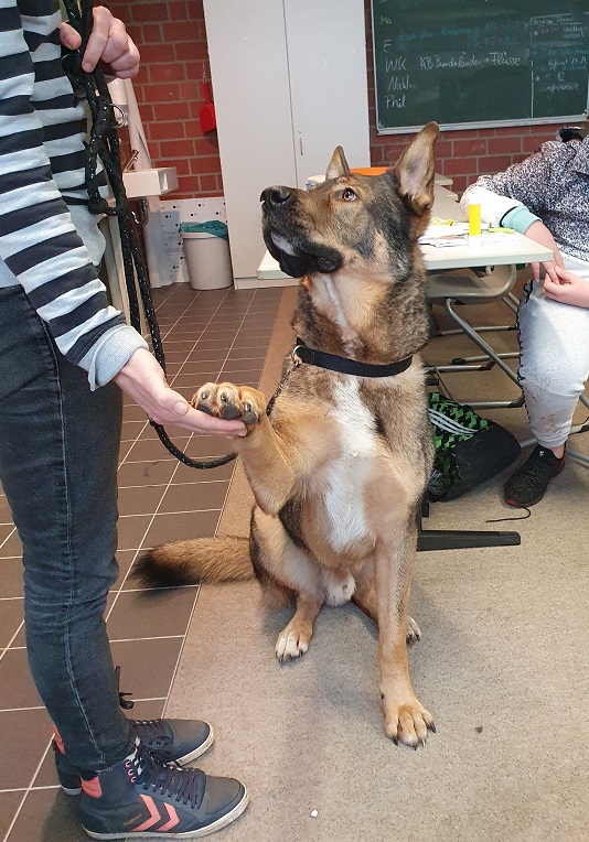 kuddel im unterricht 003